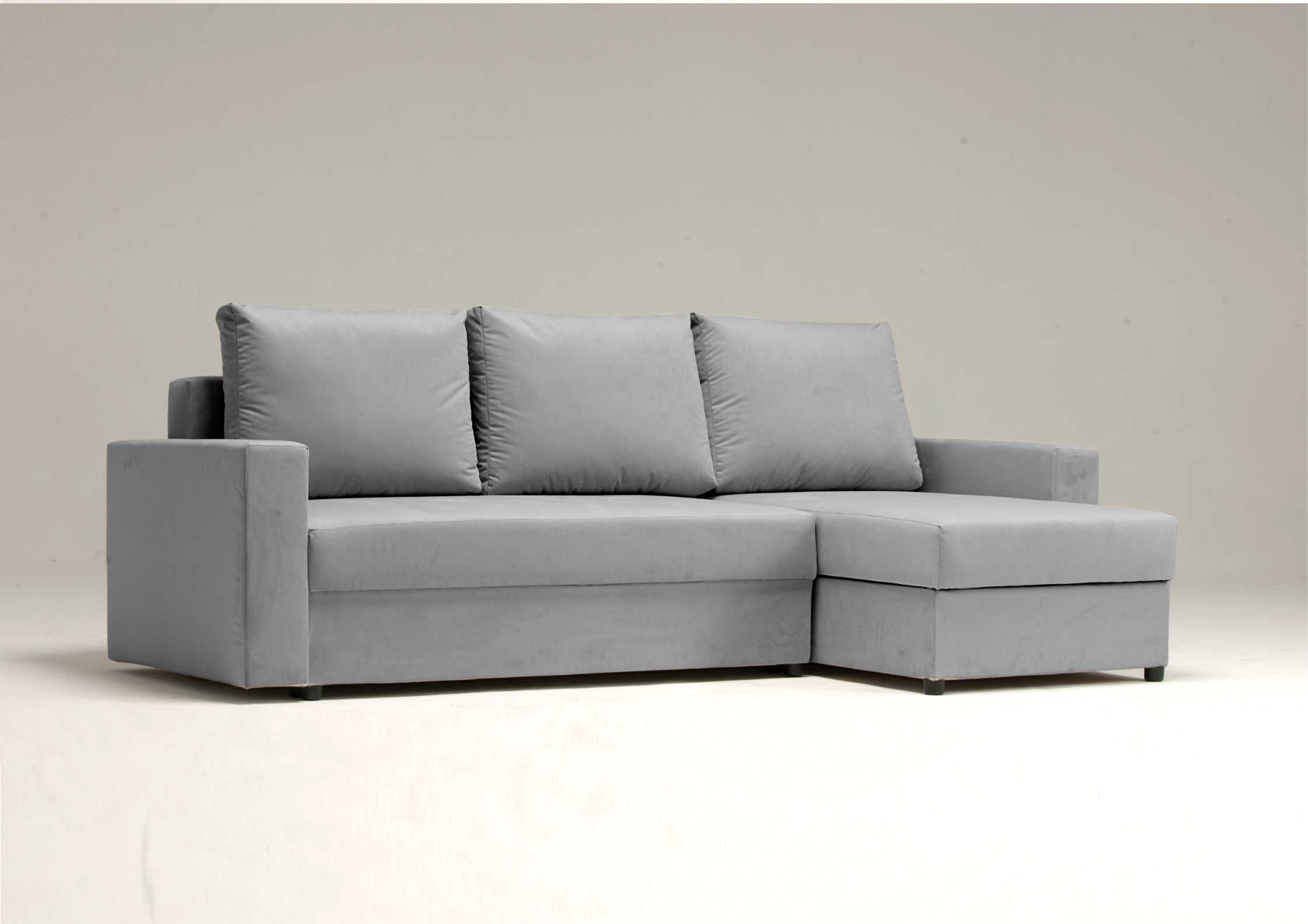 Klasyczna szara rogówka